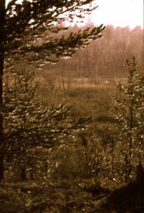 Näistä Puskun maisemista on löytynyt monta suurta kultahippua. Kuva on otettu rankan sadekuuron jälkeen silloin, kun aurinko taas herää pilvien takaa.