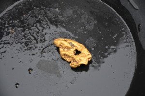 RUSKAAJA RUOHONIEMIEN HIPPU 046