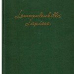 A402 Lemmenlenkillä Lapissa